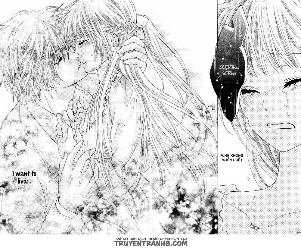 Virgin Blood – Hiiro No Bansan Chapter 3 - Trang 2