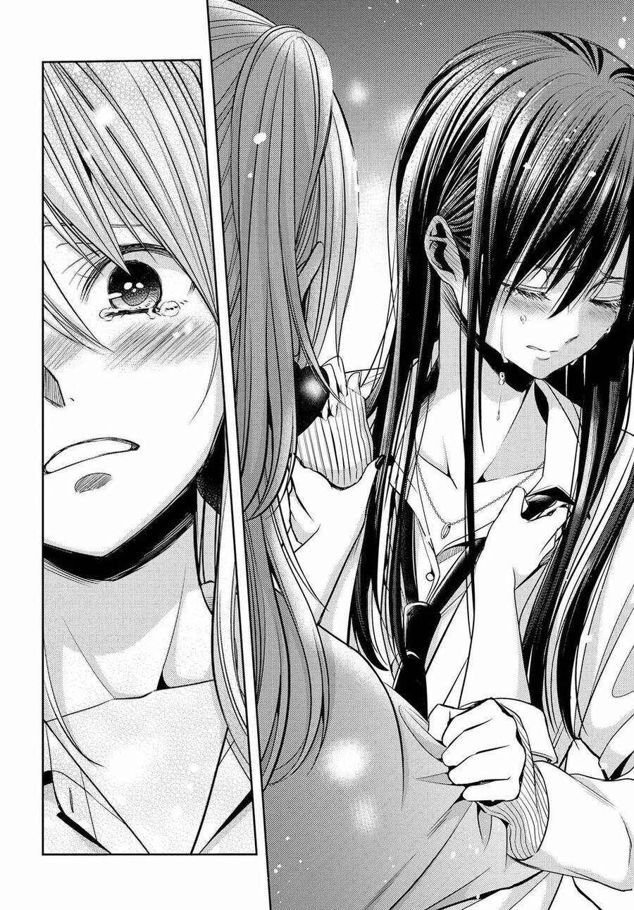 Citrus Chapter 41 - Trang 2