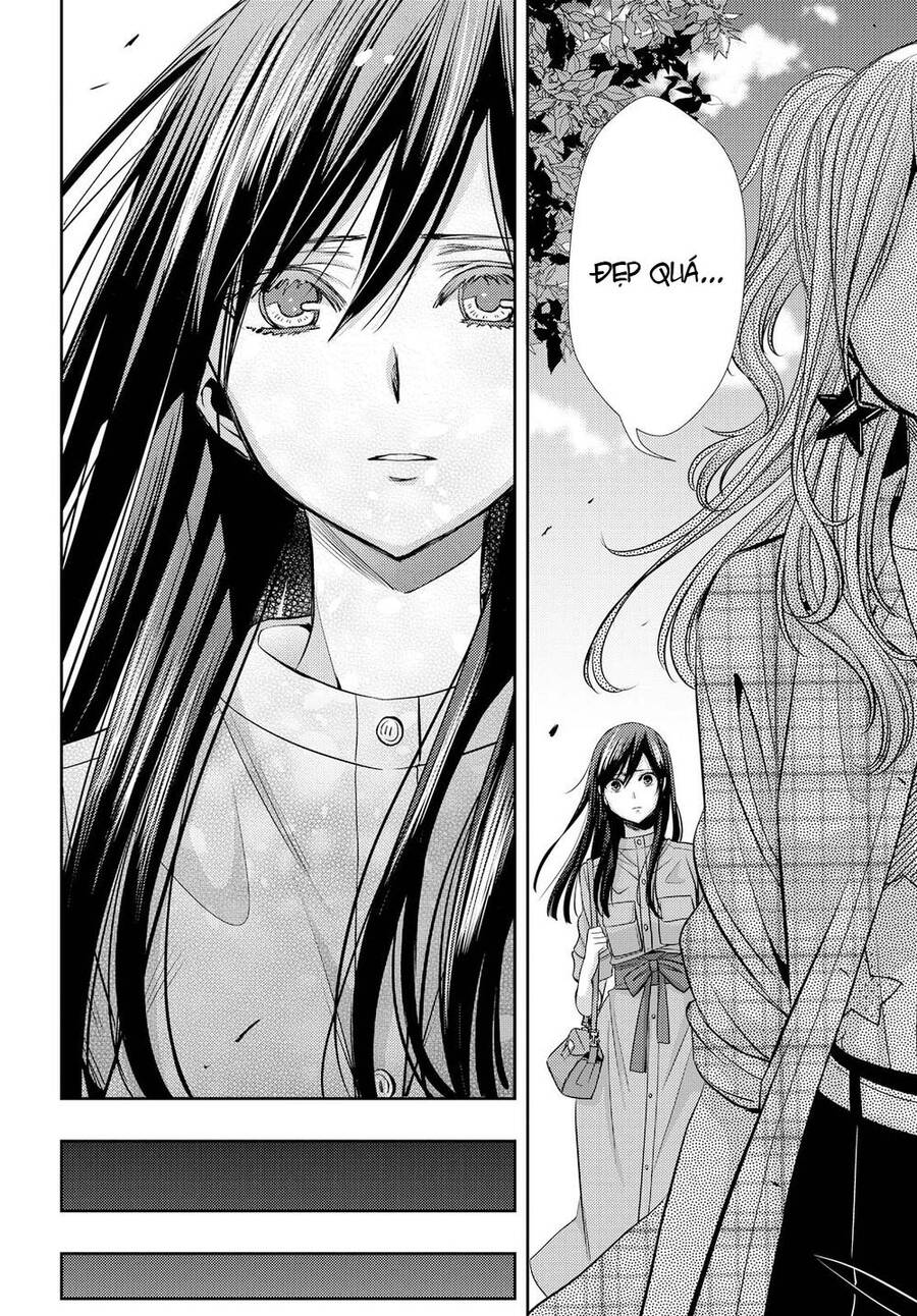 Citrus Chapter 35 - Trang 2