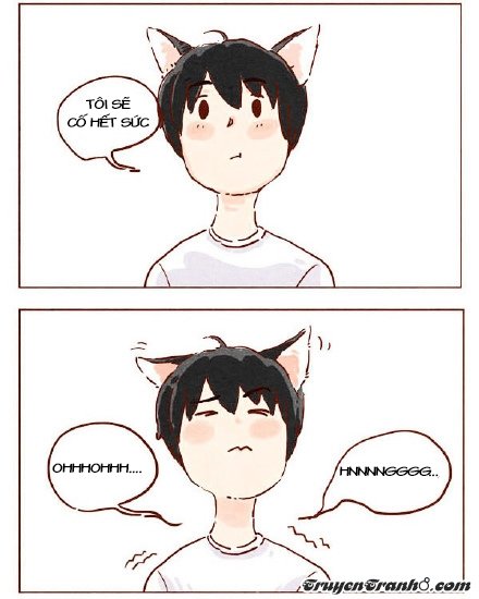 Hey, Your Cat Ears Are Showing Chapter 8 - Trang 2