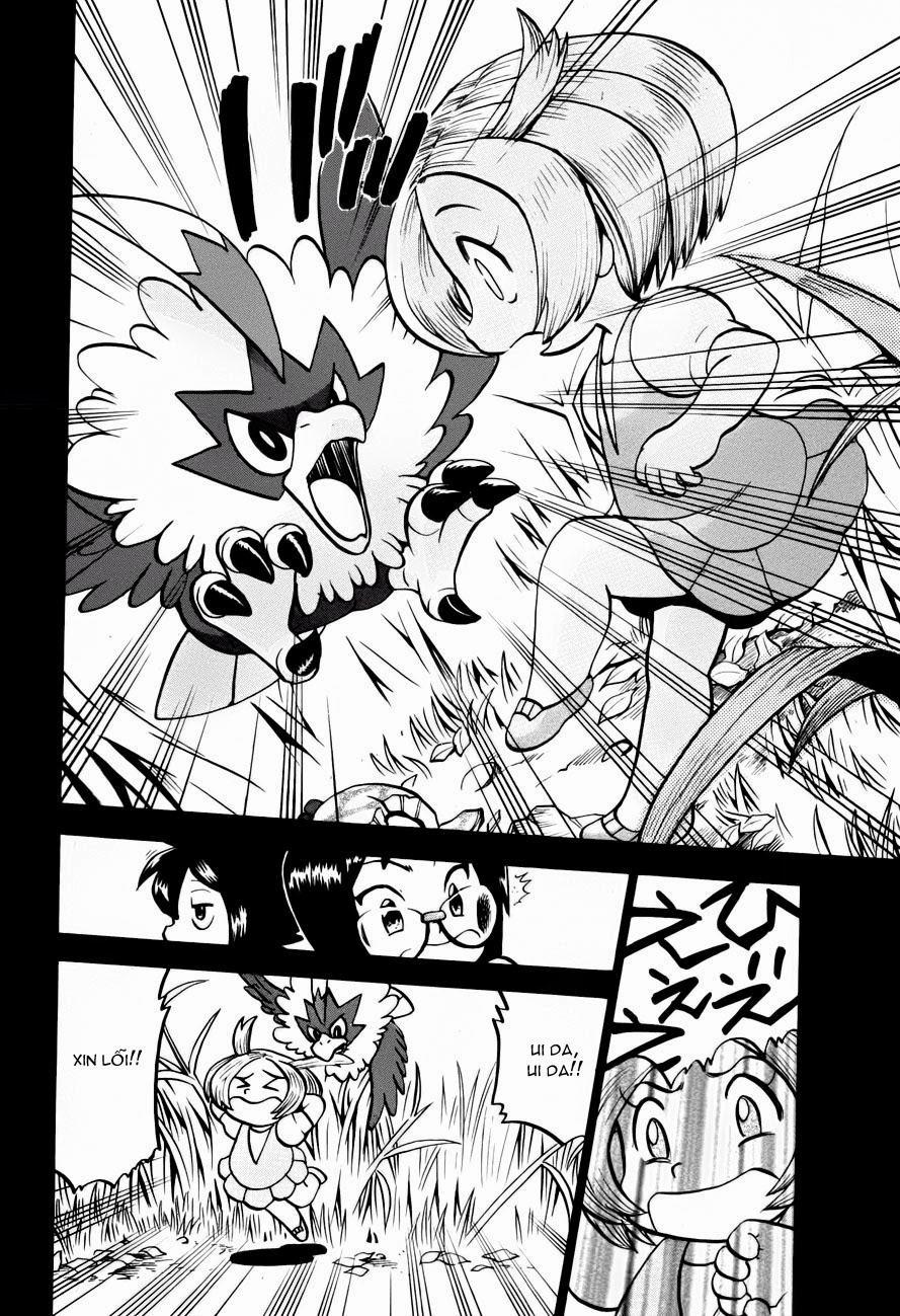 Pokemon Special Chapter 502 - Trang 2