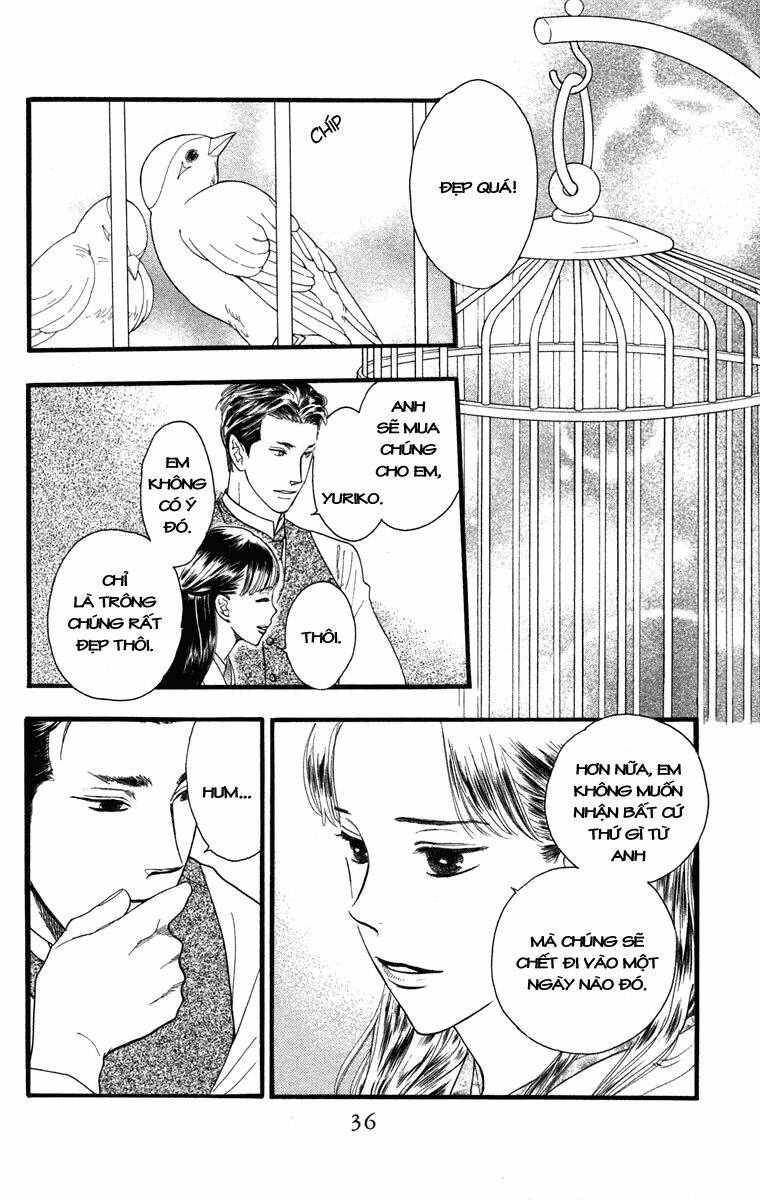 Golden Days Chapter 19 - Trang 2