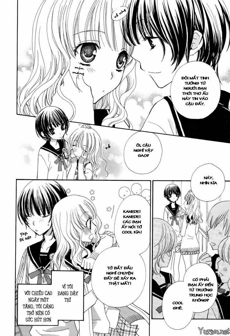 Mousou Honey Chapter 1 - Trang 2