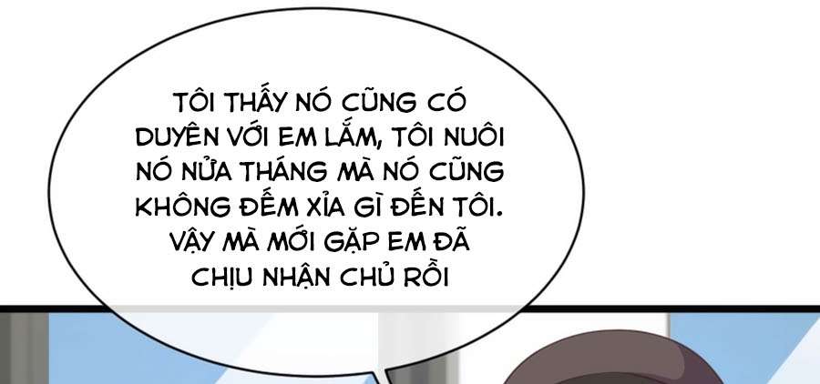 Băng Sơn Tổng Tài Sủng Thê Vô Độ Chapter 46 - Trang 2