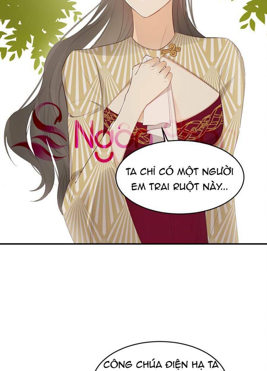 Sổ Tay Nuôi Dưỡng Rồng Chapter 39 - Trang 2