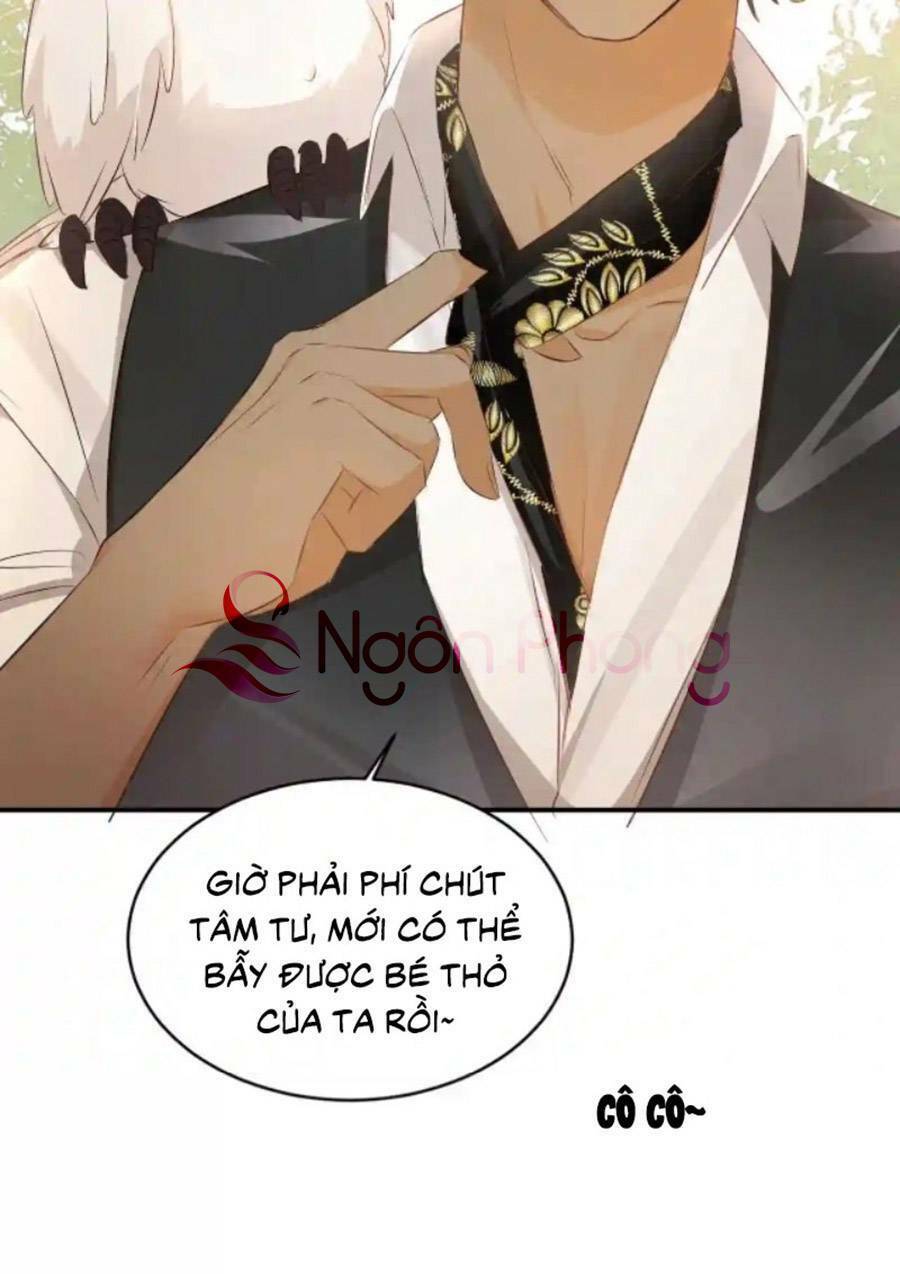 Sổ Tay Nuôi Dưỡng Rồng Chapter 24 - Trang 2