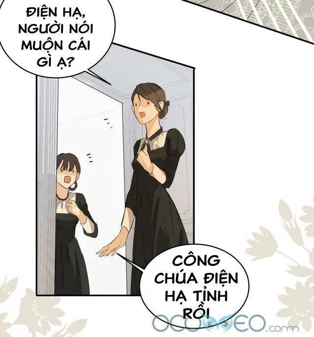 Sổ Tay Nuôi Dưỡng Rồng Chapter 4 - Trang 2