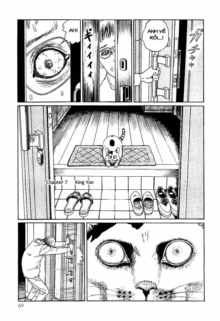 Ito Junji Cat’S Diary Chapter 7 - Trang 2