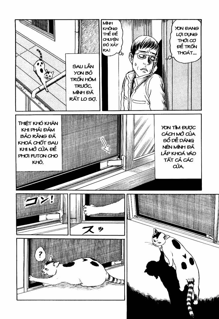 Ito Junji Cat’S Diary Chapter 7 - Trang 2