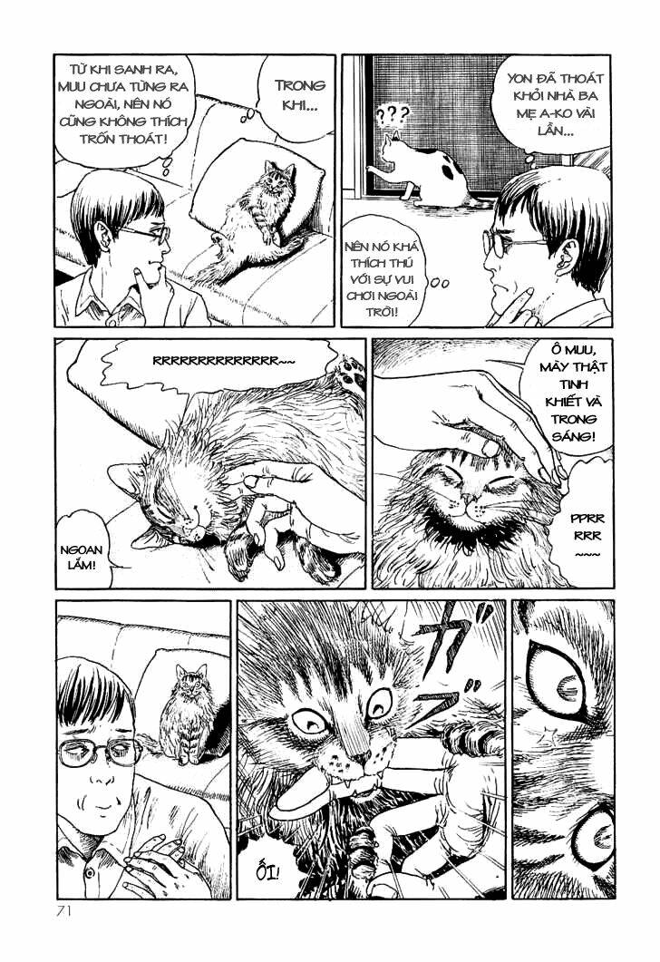 Ito Junji Cat’S Diary Chapter 7 - Trang 2