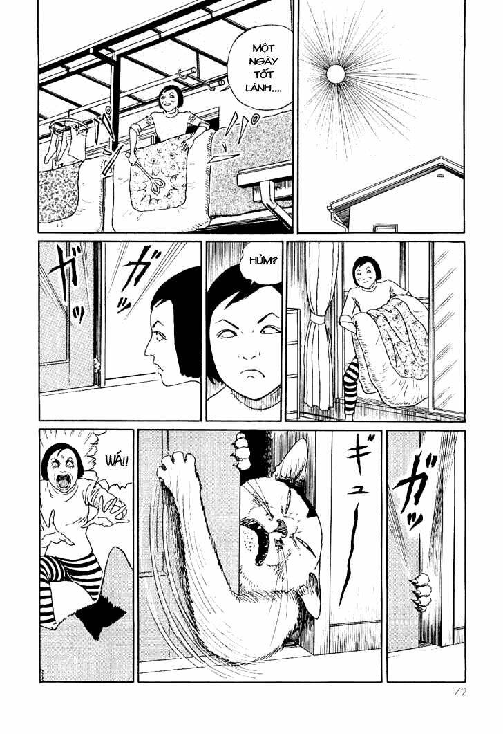 Ito Junji Cat’S Diary Chapter 7 - Trang 2