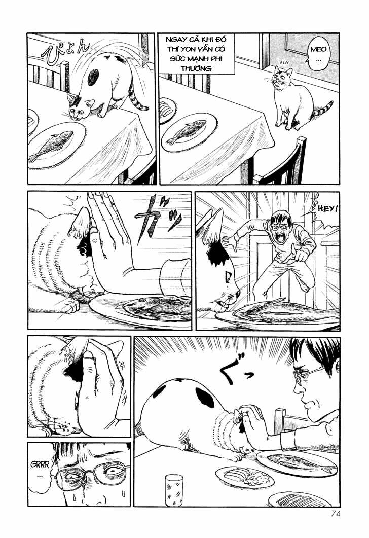 Ito Junji Cat’S Diary Chapter 7 - Trang 2