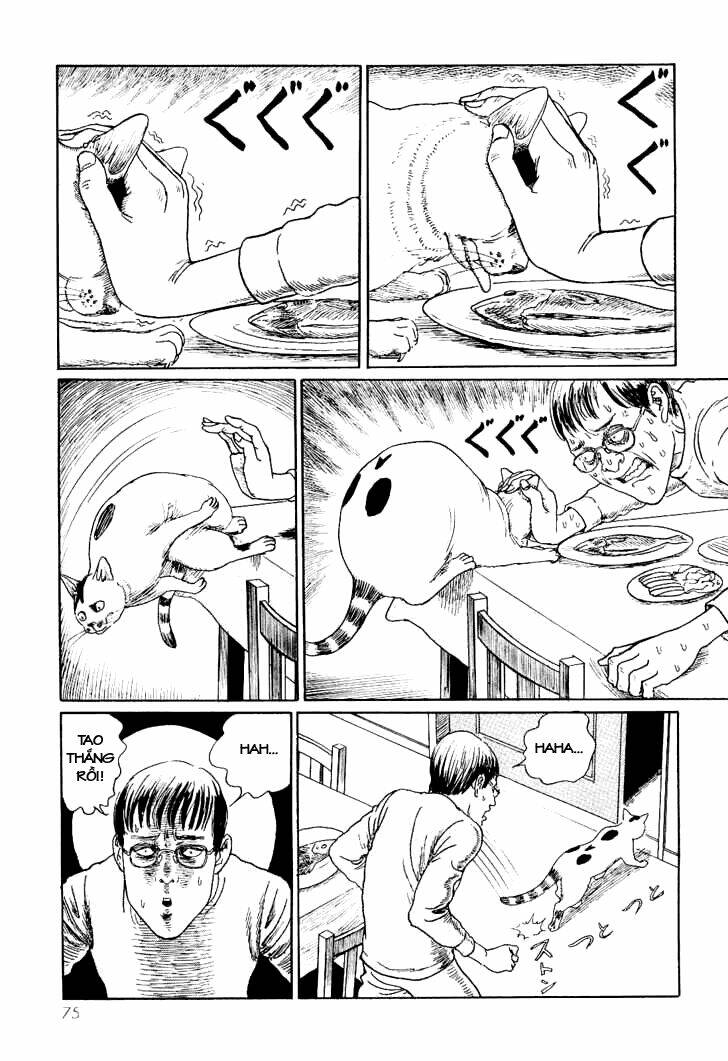 Ito Junji Cat’S Diary Chapter 7 - Trang 2