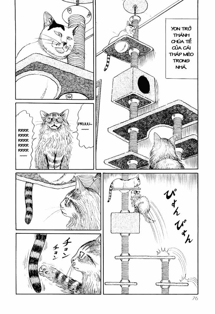 Ito Junji Cat’S Diary Chapter 7 - Trang 2