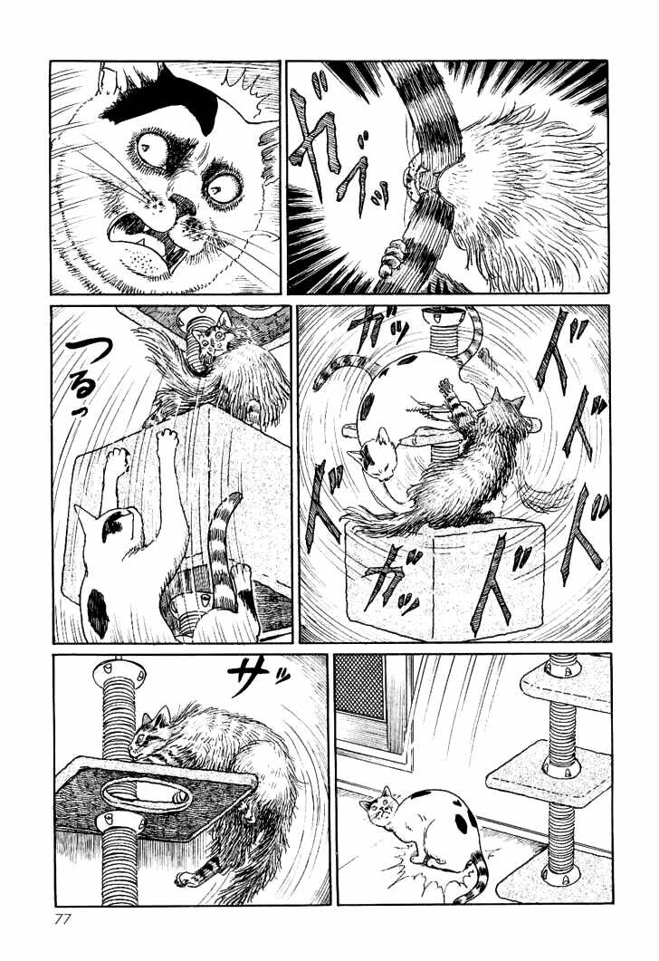 Ito Junji Cat’S Diary Chapter 7 - Trang 2