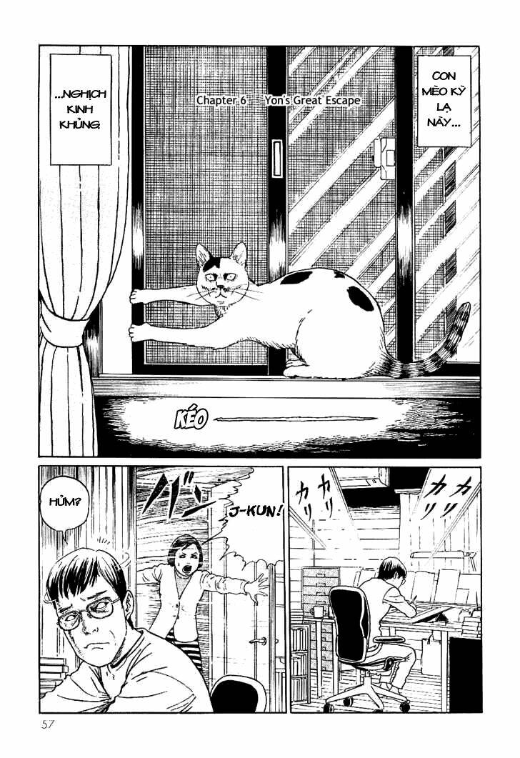 Ito Junji Cat’S Diary Chapter 6 - Trang 2