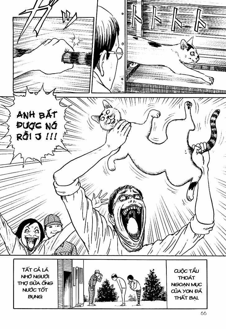 Ito Junji Cat’S Diary Chapter 6 - Trang 2