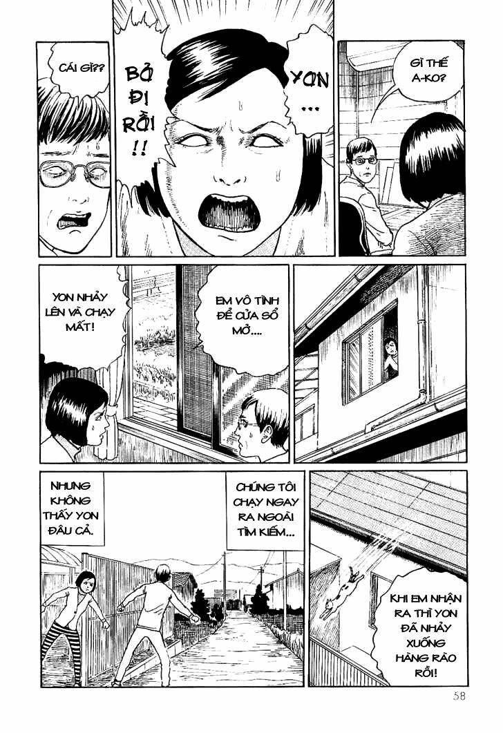 Ito Junji Cat’S Diary Chapter 6 - Trang 2