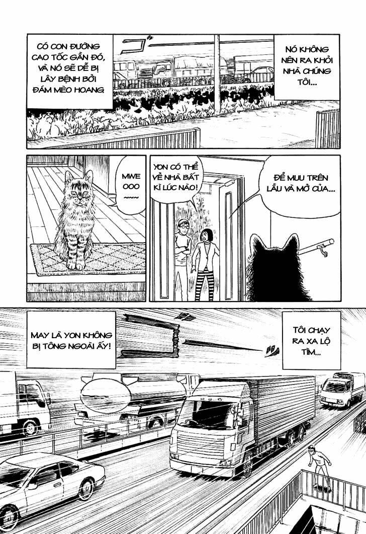 Ito Junji Cat’S Diary Chapter 6 - Trang 2