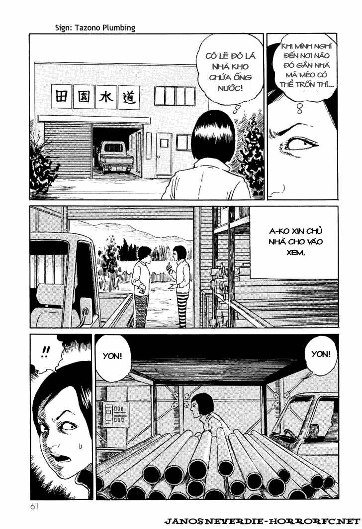 Ito Junji Cat’S Diary Chapter 6 - Trang 2