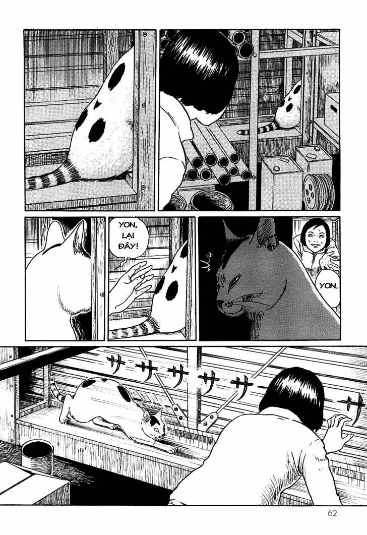 Ito Junji Cat’S Diary Chapter 6 - Trang 2