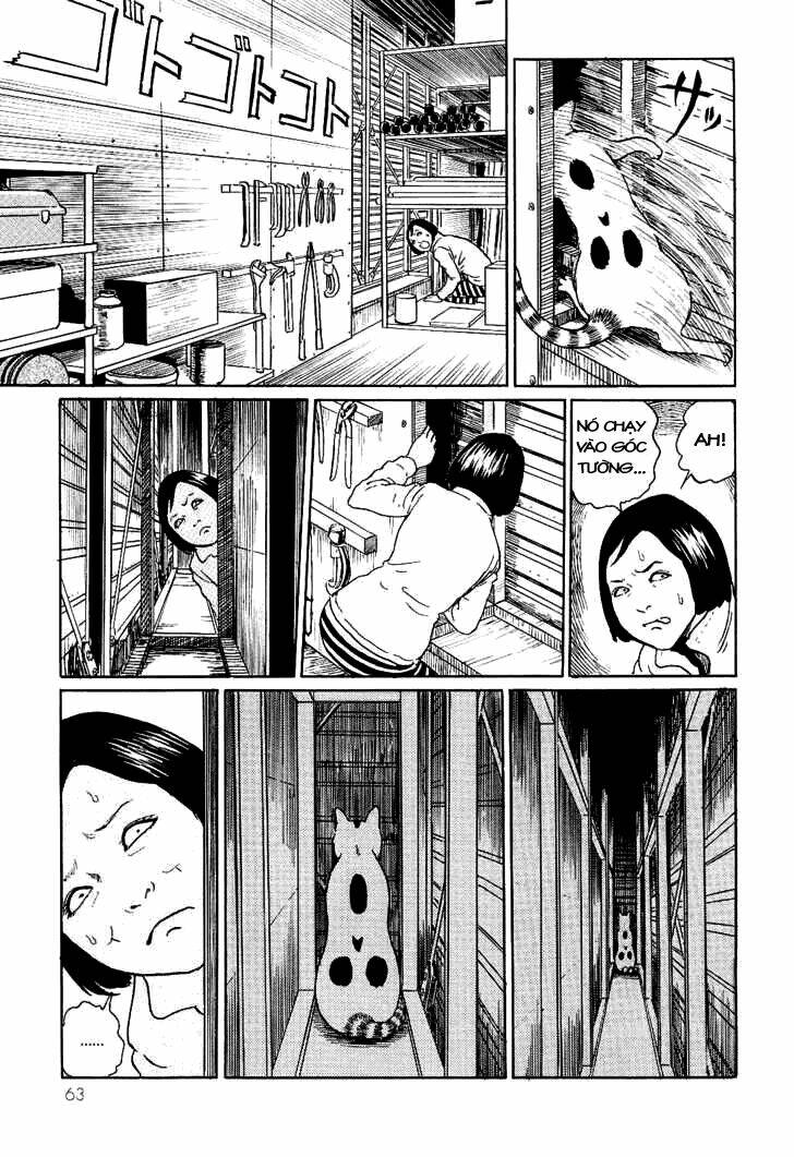 Ito Junji Cat’S Diary Chapter 6 - Trang 2