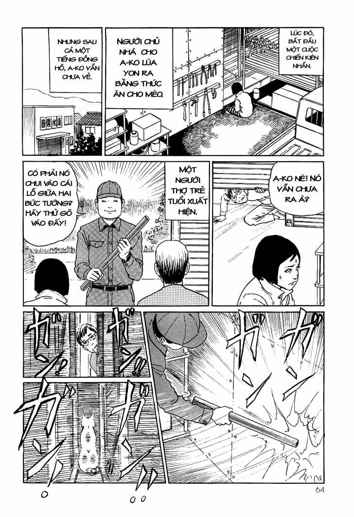 Ito Junji Cat’S Diary Chapter 6 - Trang 2