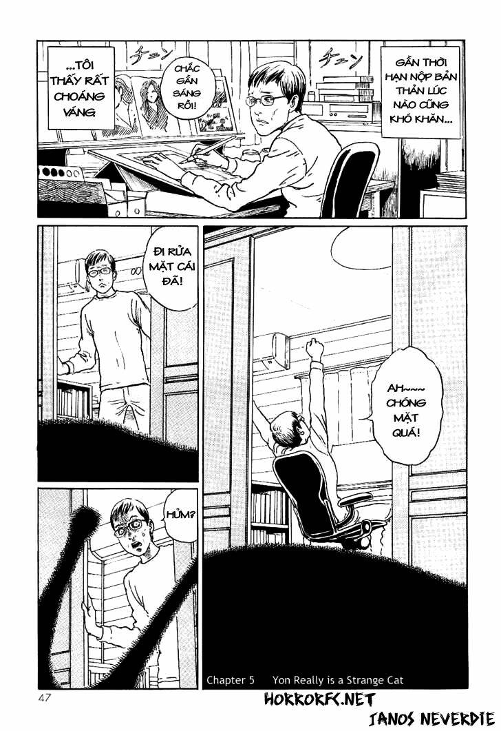 Ito Junji Cat’S Diary Chapter 5 - Trang 2