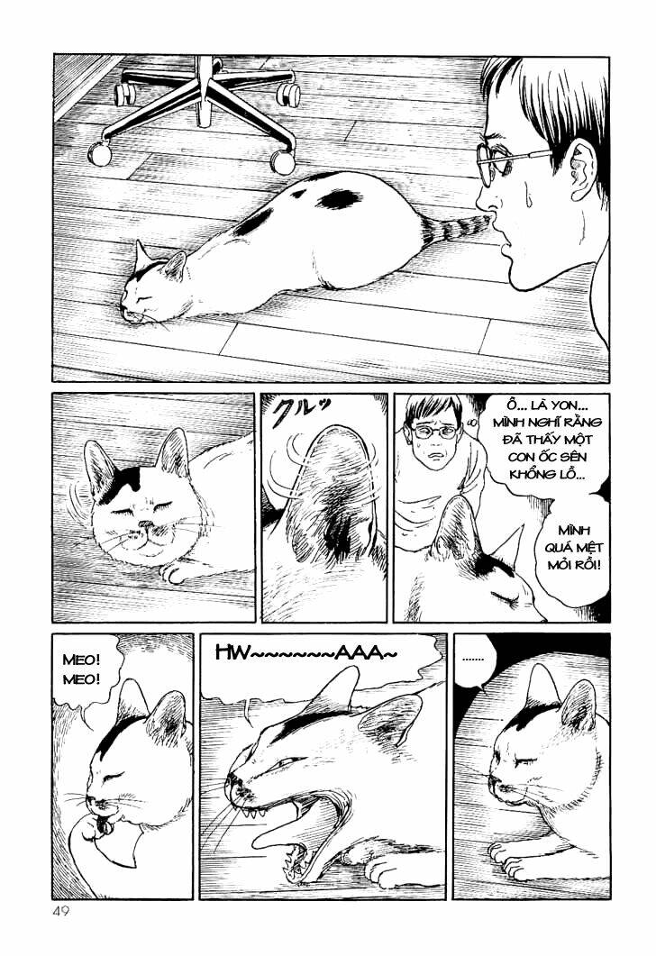 Ito Junji Cat’S Diary Chapter 5 - Trang 2