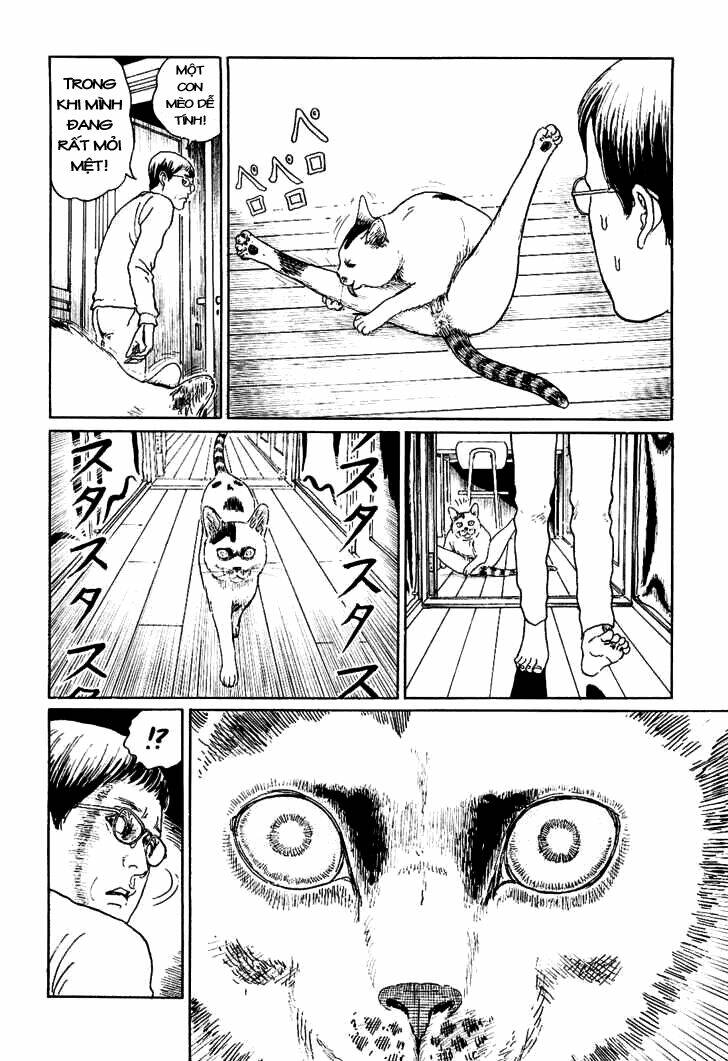 Ito Junji Cat’S Diary Chapter 5 - Trang 2