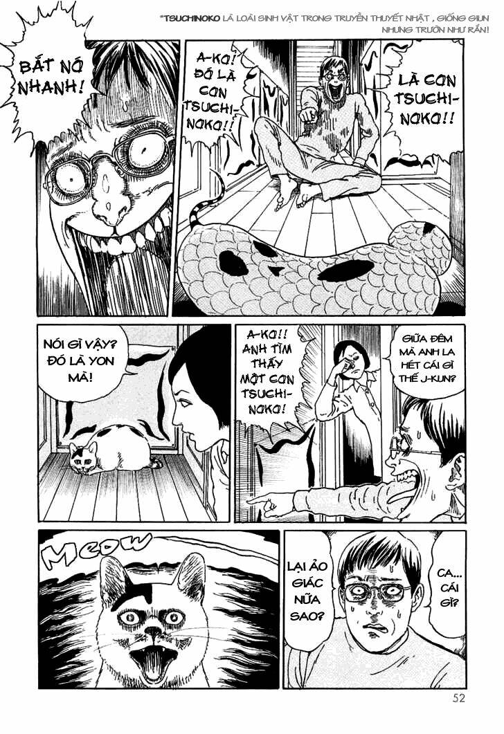 Ito Junji Cat’S Diary Chapter 5 - Trang 2