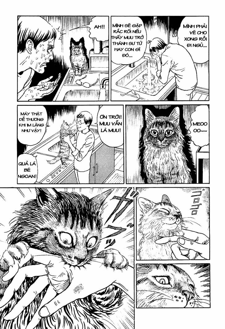 Ito Junji Cat’S Diary Chapter 5 - Trang 2