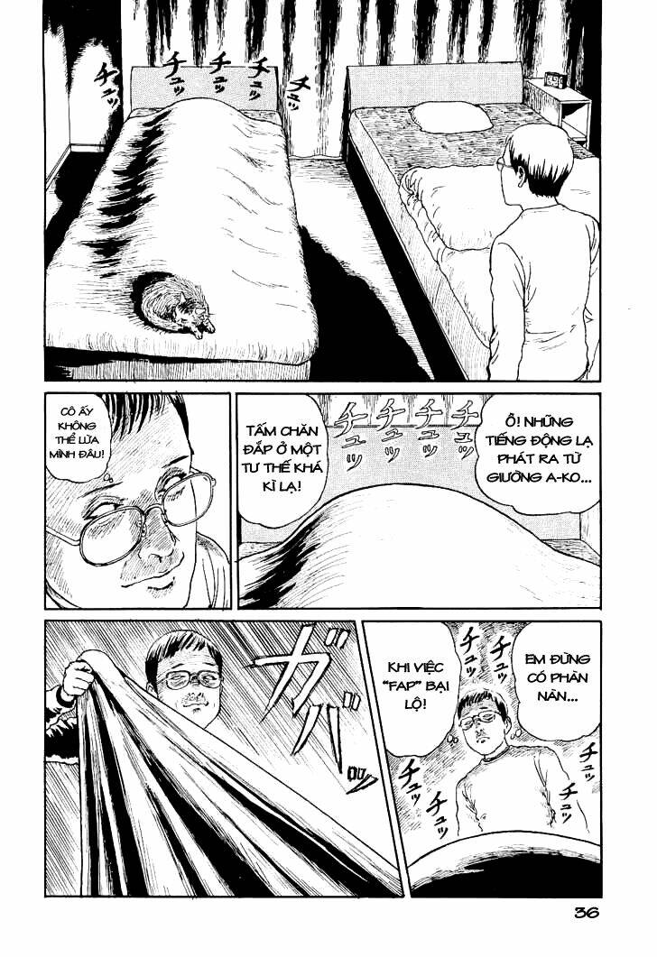 Ito Junji Cat’S Diary Chapter 4 - Trang 2