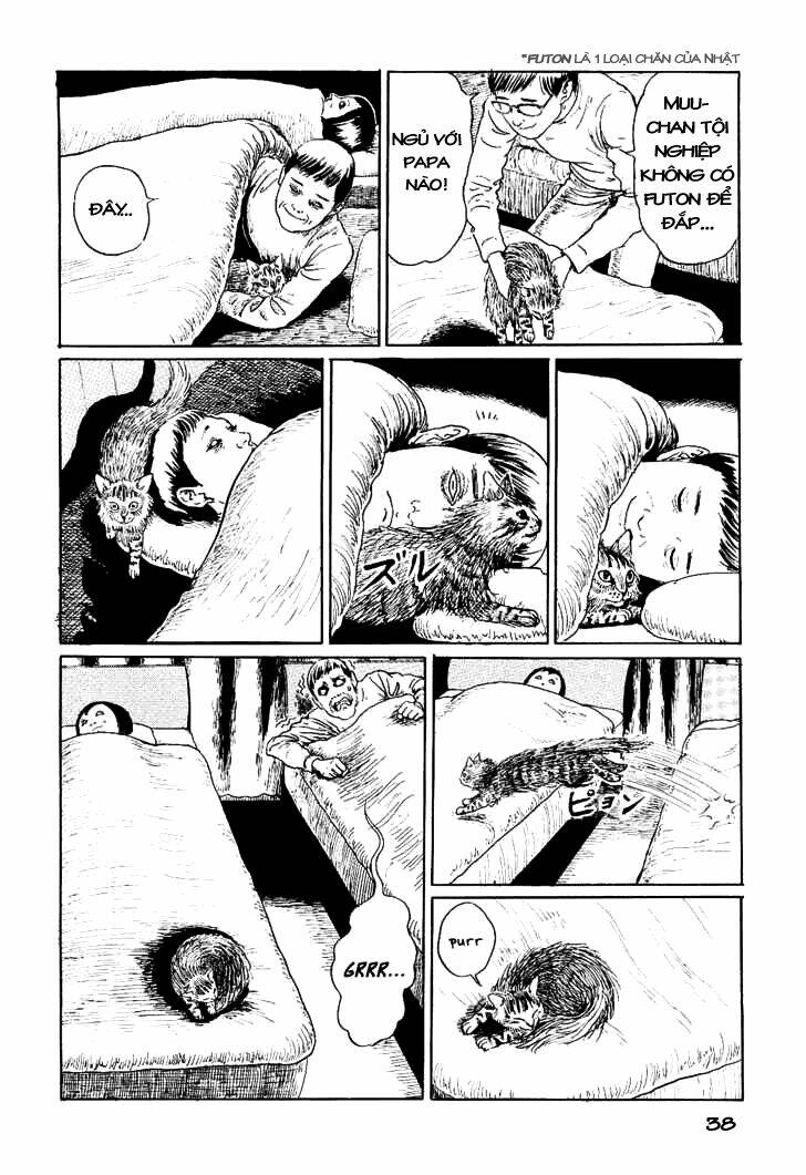 Ito Junji Cat’S Diary Chapter 4 - Trang 2