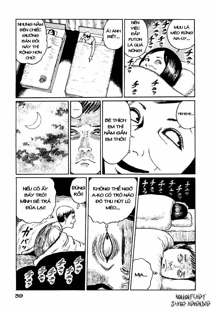 Ito Junji Cat’S Diary Chapter 4 - Trang 2