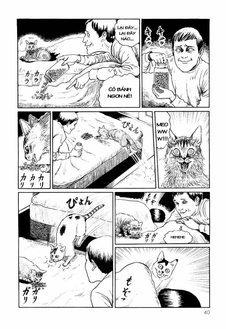 Ito Junji Cat’S Diary Chapter 4 - Trang 2