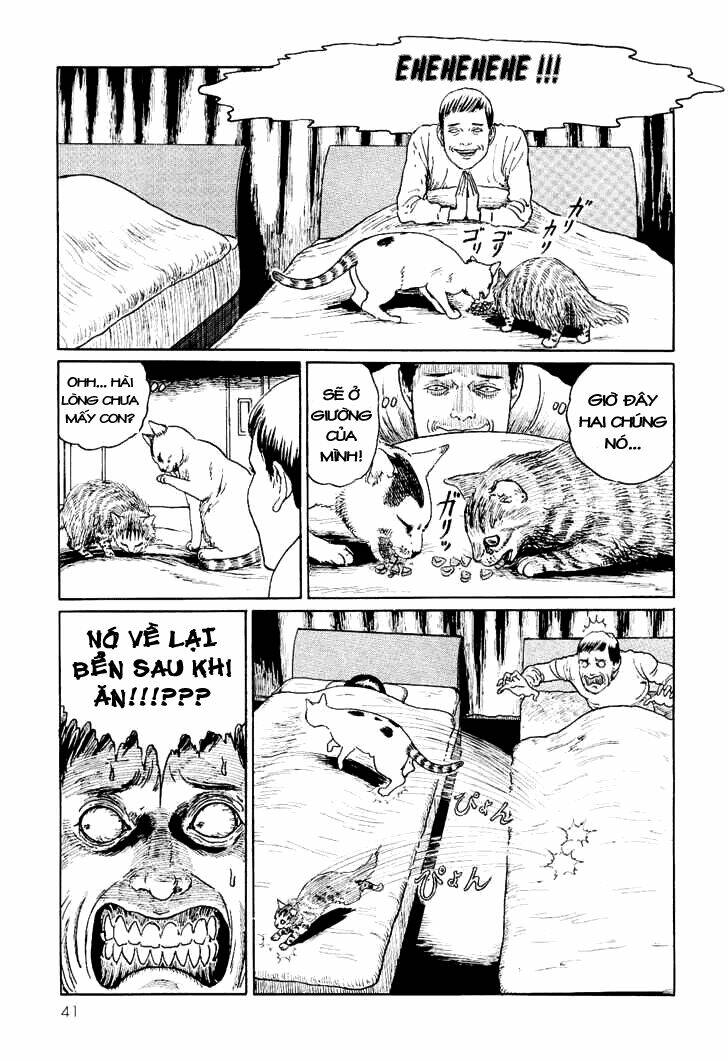 Ito Junji Cat’S Diary Chapter 4 - Trang 2