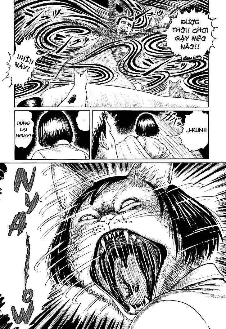 Ito Junji Cat’S Diary Chapter 4 - Trang 2