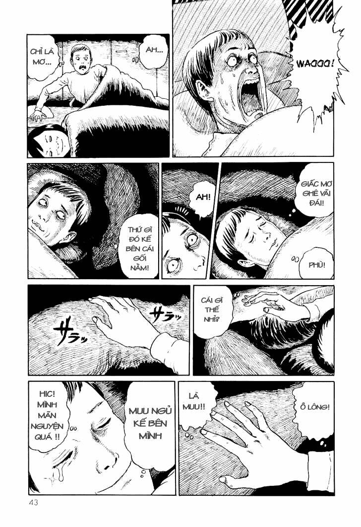 Ito Junji Cat’S Diary Chapter 4 - Trang 2