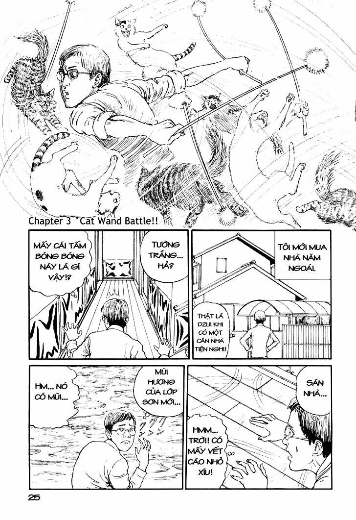 Ito Junji Cat’S Diary Chapter 3 - Trang 2