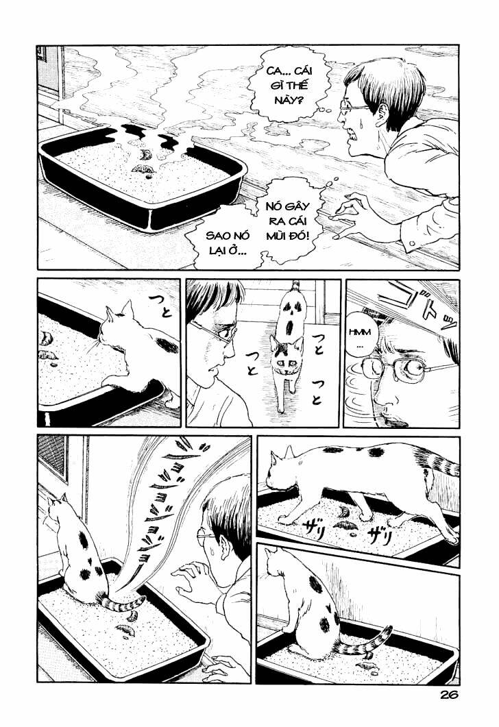 Ito Junji Cat’S Diary Chapter 3 - Trang 2