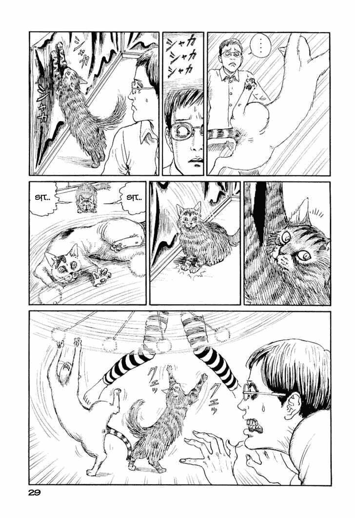 Ito Junji Cat’S Diary Chapter 3 - Trang 2