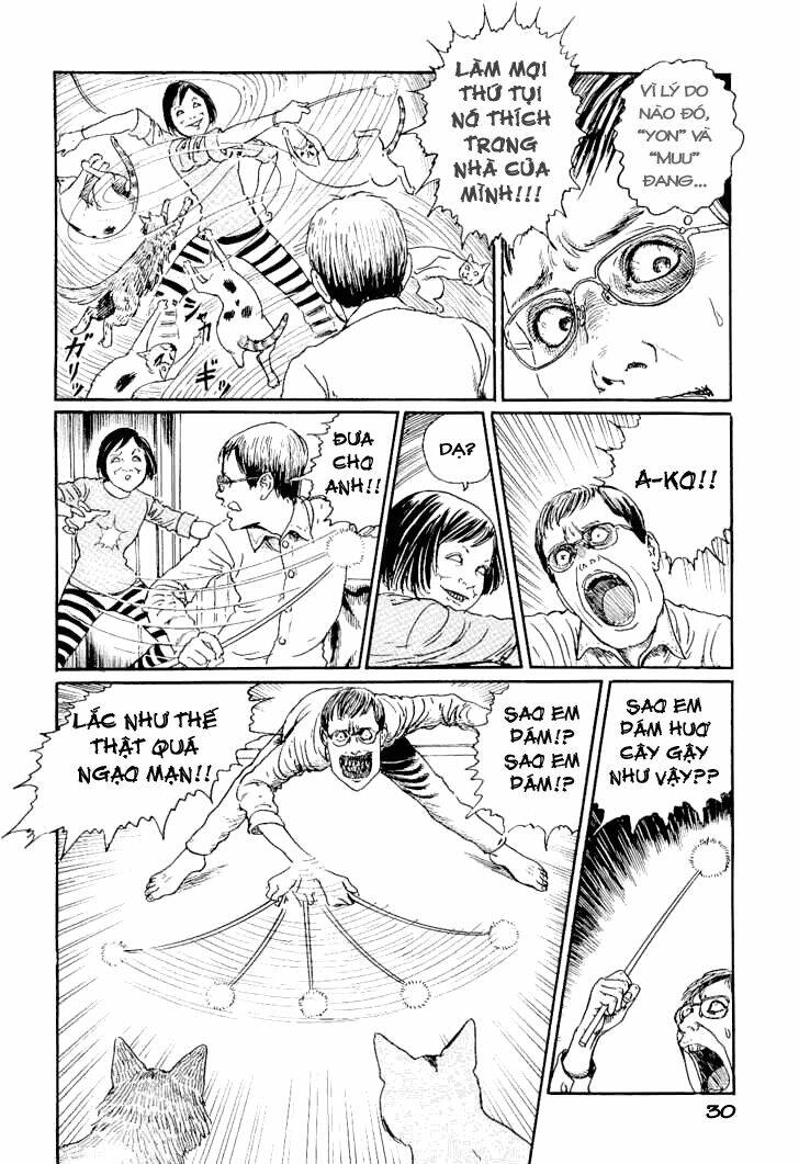 Ito Junji Cat’S Diary Chapter 3 - Trang 2