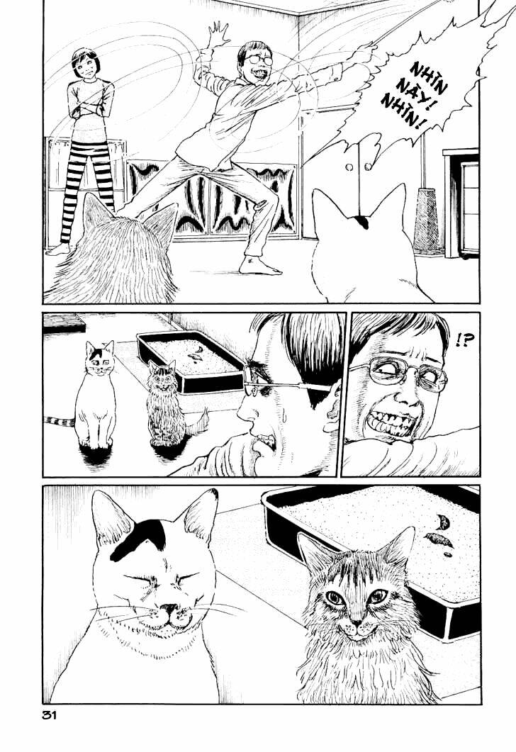 Ito Junji Cat’S Diary Chapter 3 - Trang 2