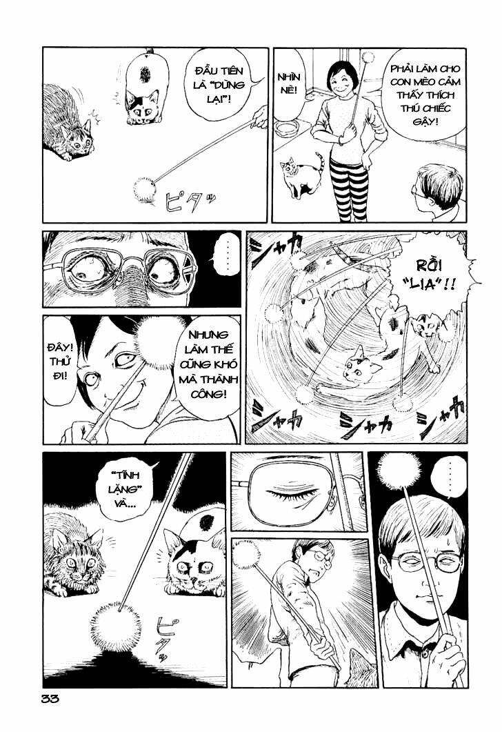 Ito Junji Cat’S Diary Chapter 3 - Trang 2