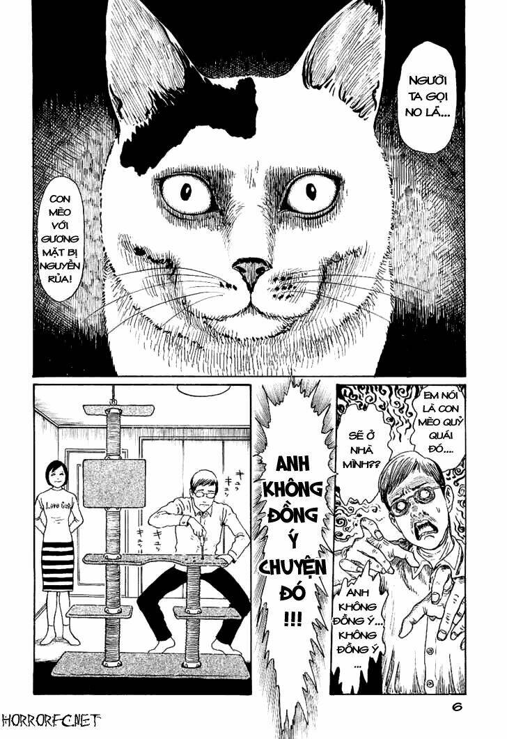 Ito Junji Cat’S Diary Chapter 1 - Trang 2