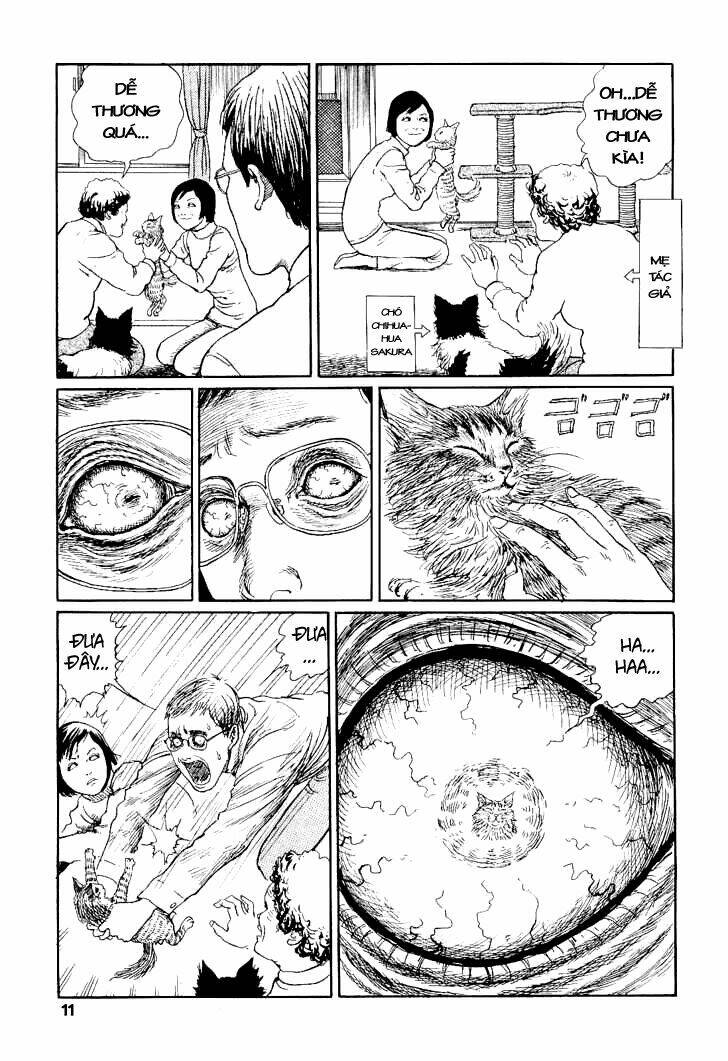 Ito Junji Cat’S Diary Chapter 1 - Trang 2