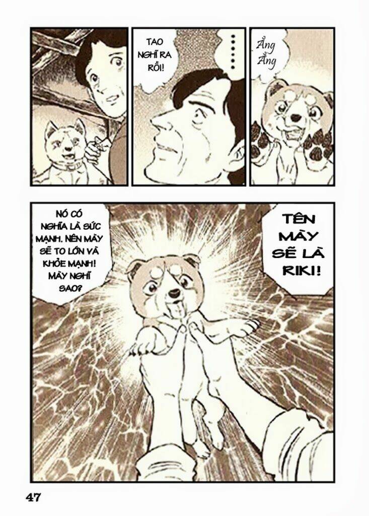 Ginga Densetsu Riki Chapter 2 - Trang 2