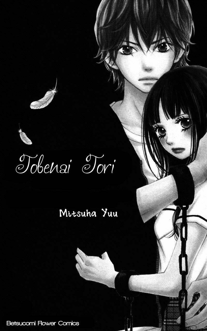 Tobenai Tori Chapter 1 - Trang 2