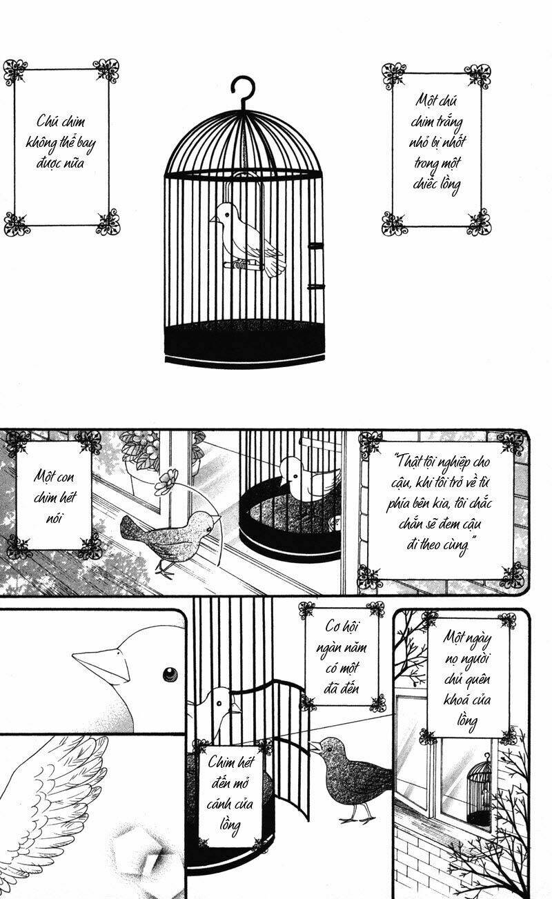 Tobenai Tori Chapter 1 - Trang 2